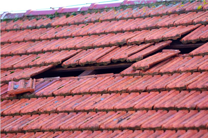 Damaged Roof Replacement in Sharpsburg, GA