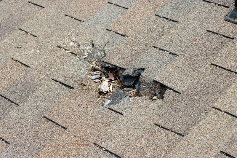 Leaky Roof Replacement in Jonesboro, GA