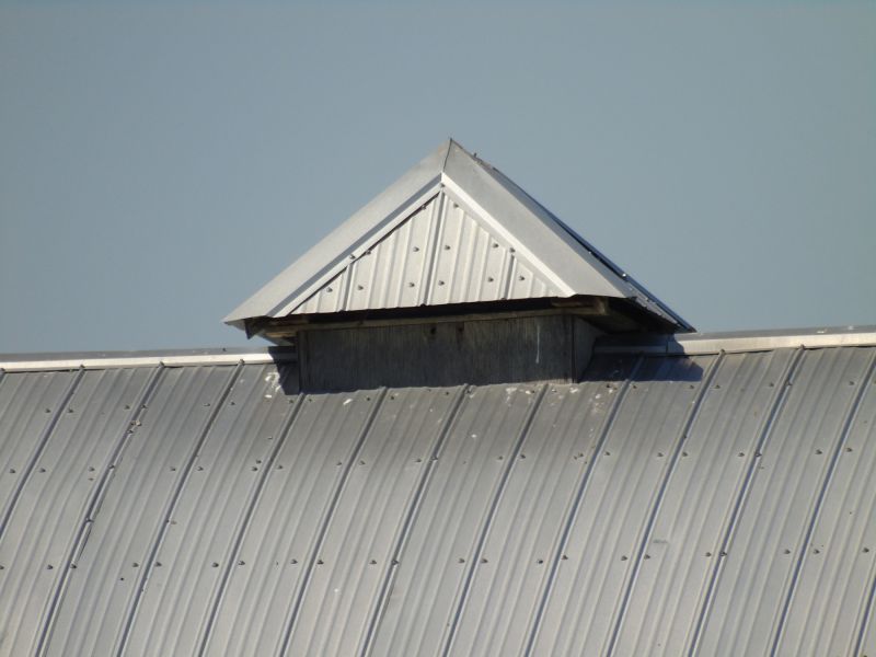 Tin Roof Installation in Stone Mountain, GA