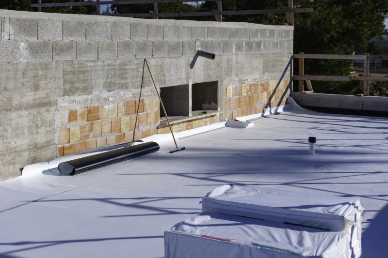 Tpo Roof Installation in Williamson, GA