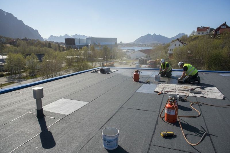 Tpo Roof Replacement in Henry County, GA
